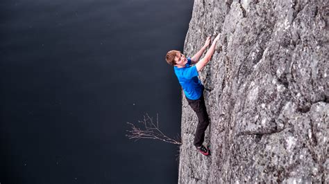  Scalaria: Il piccolo gigante che si arrampica su rocce e scogliere!