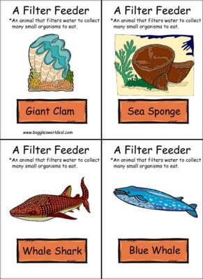  Heterodonta!  A Masterful Filter Feeder with an Exquisite Pearl-Producing Skill